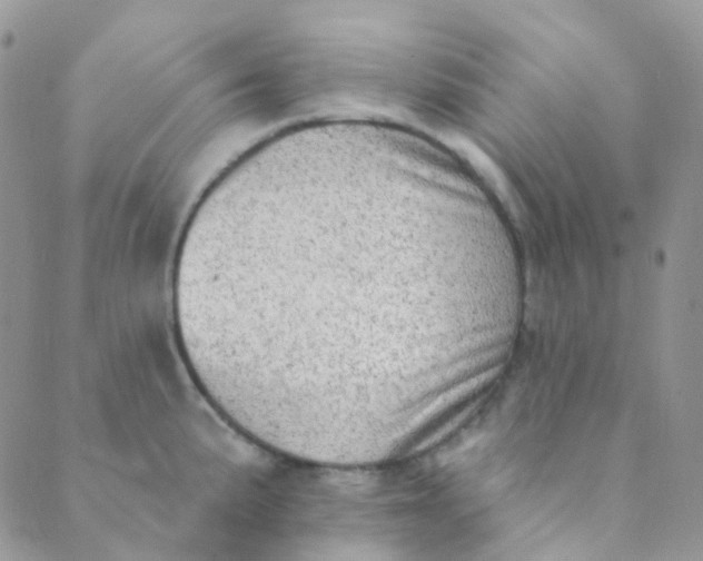 X0000089421191200707061311