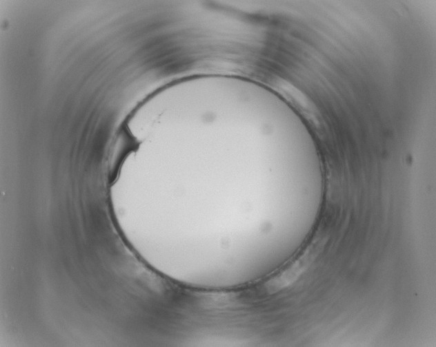 X0000089421192200707061311