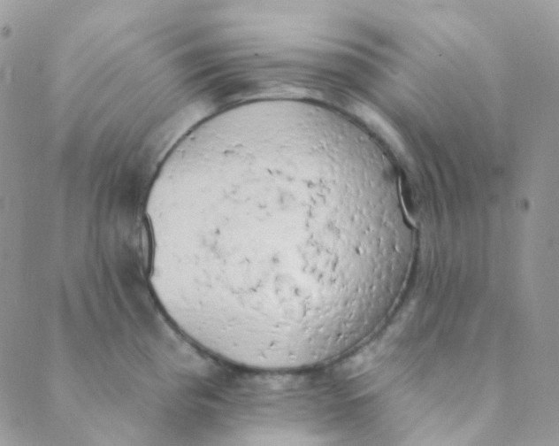 X0000089421193200707061311