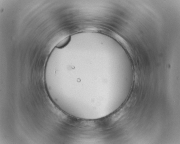 X0000089421194200707061311