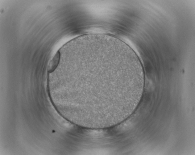 X0000089421195200707061311