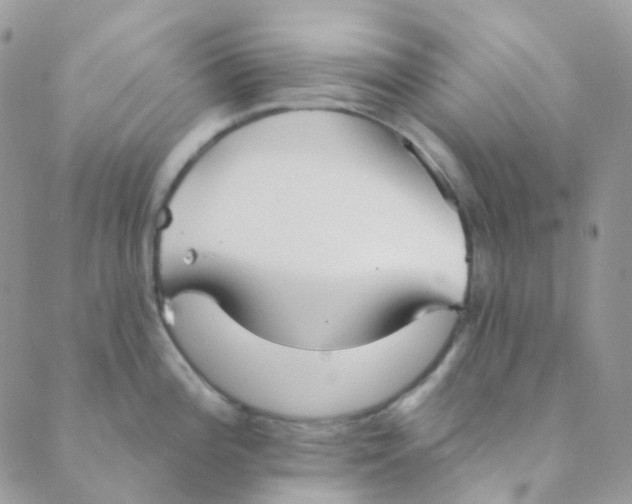 X0000089421196200707061311