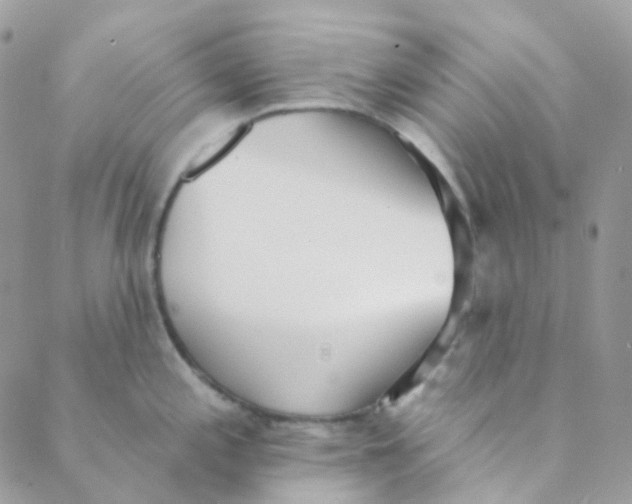 X0000089421197200707061311