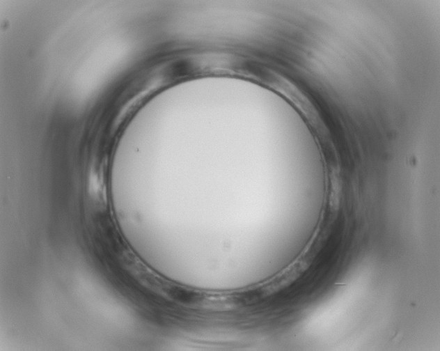 X0000089421198200707061311