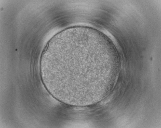 X0000089421199200707061311