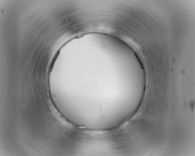 X0000089421200200707061311