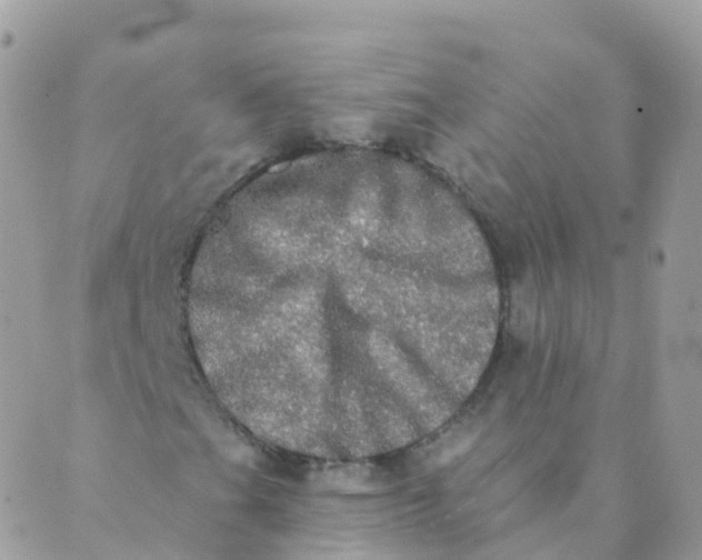 X0000089421201200707061310