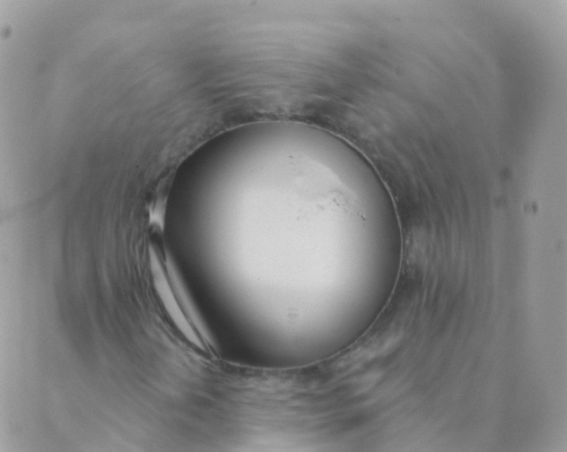 X0000089421202200707061310