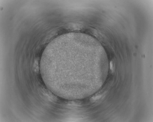 X0000089421203200707061310