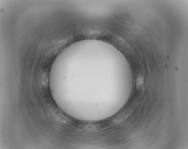 X0000089421204200707061310