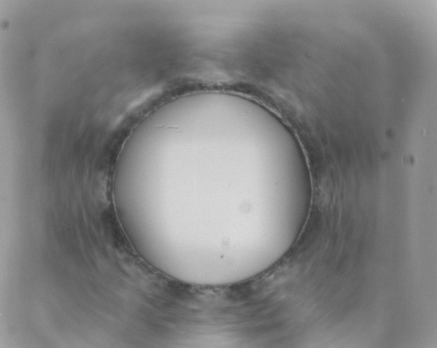 X0000089421205200707061310