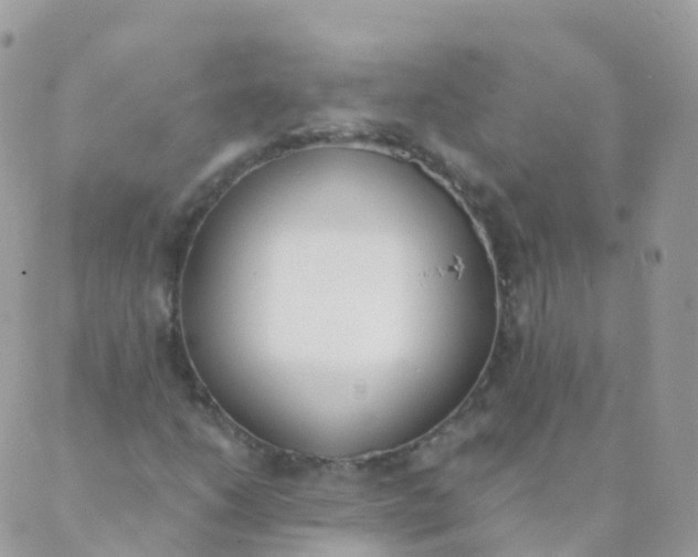 X0000089421206200707061310