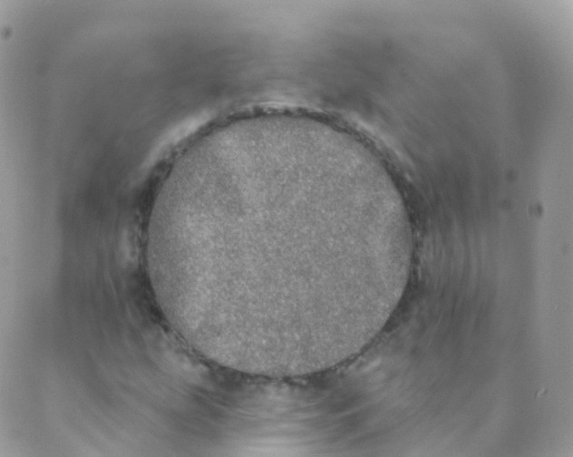 X0000089421207200707061310