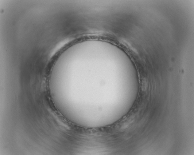 X0000089421208200707061310