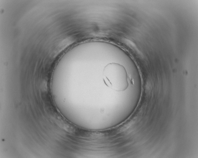 X0000089421209200707061310