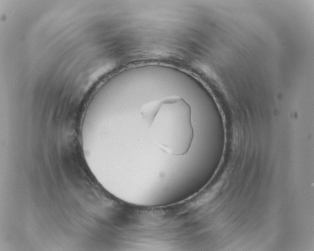 X0000089421210200707061310