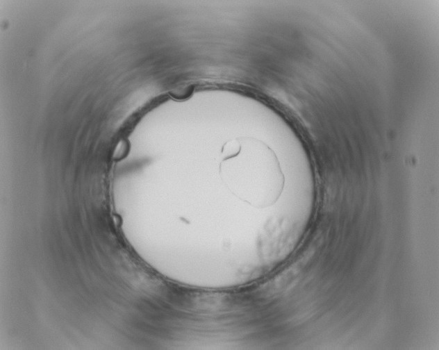 X0000089421211200707061310