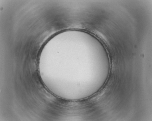 X0000089421212200707061310