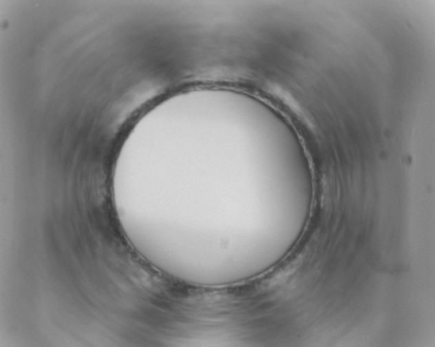 X0000089421213200707061310