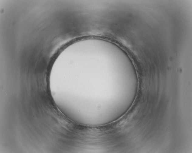 X0000089421214200707061310