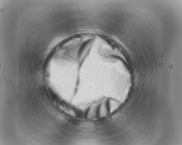 X0000089421215200707061310