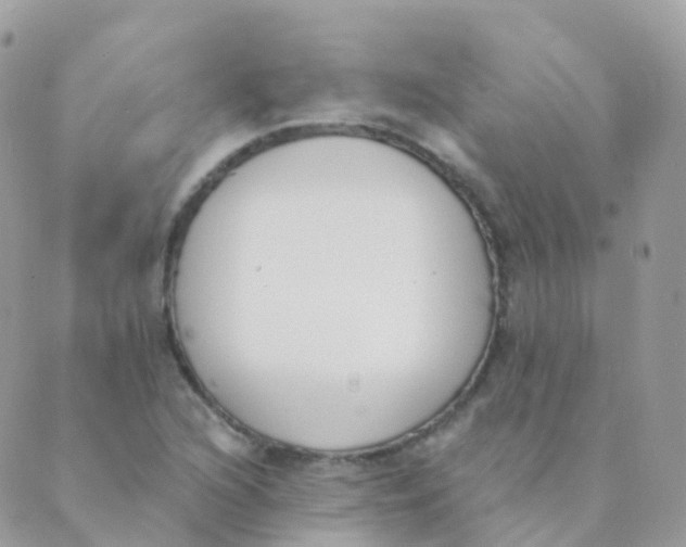 X0000089421216200707061310