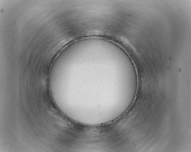 X0000089421217200707061310