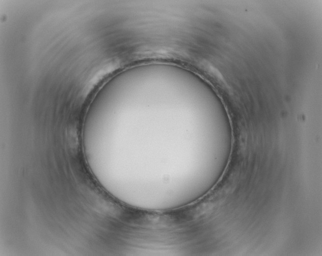 X0000089421218200707061310