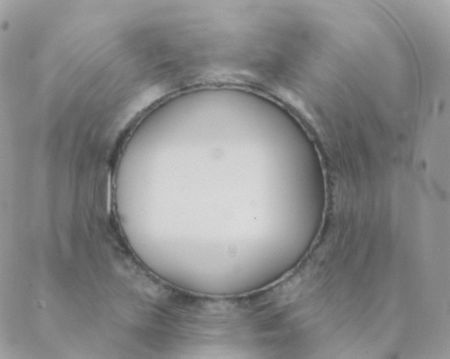 X0000089421219200707061310