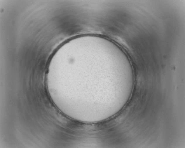 X0000089421220200707061310