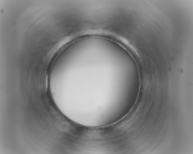 X0000089421221200707061310