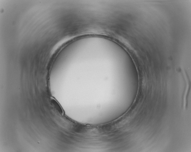 X0000089421222200707061310