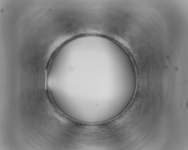 X0000089421223200707061310