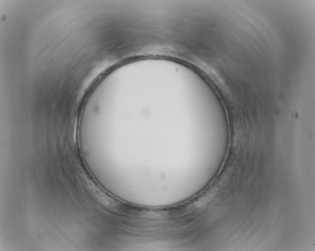 X0000089421224200707061310