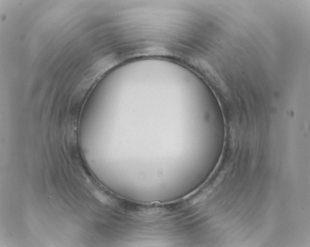 X0000089421225200707061310