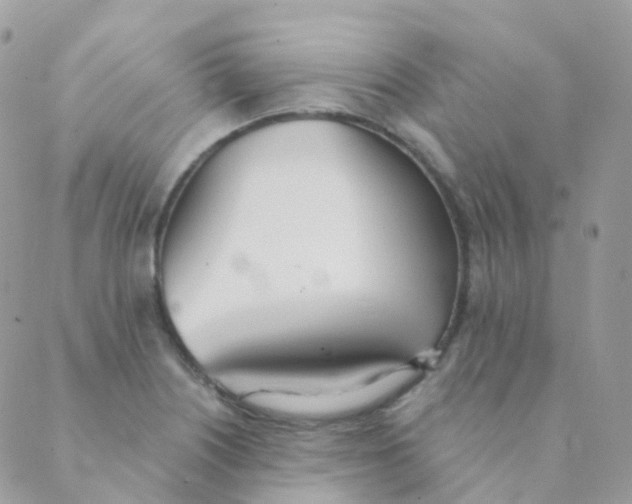 X0000089421226200707061310