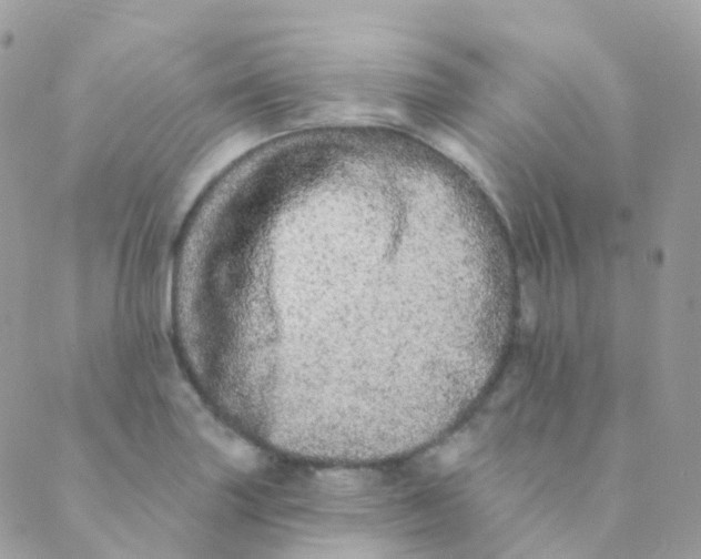 X0000089421227200707061310