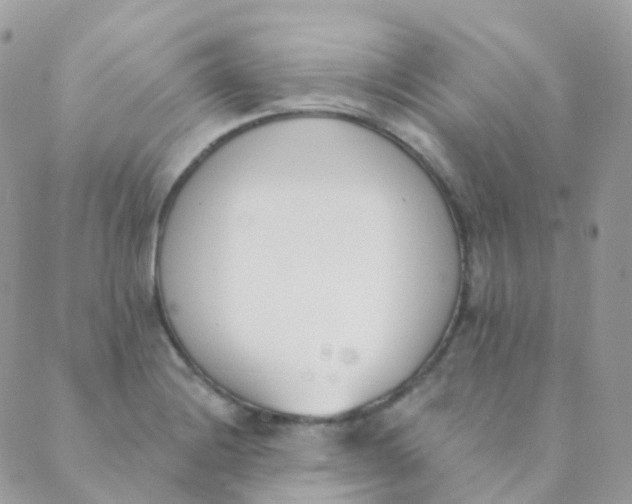 X0000089421228200707061310