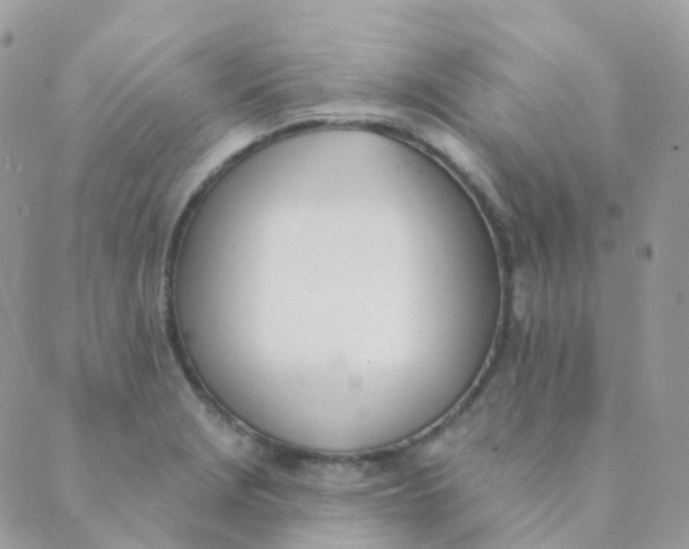 X0000089421229200707061311