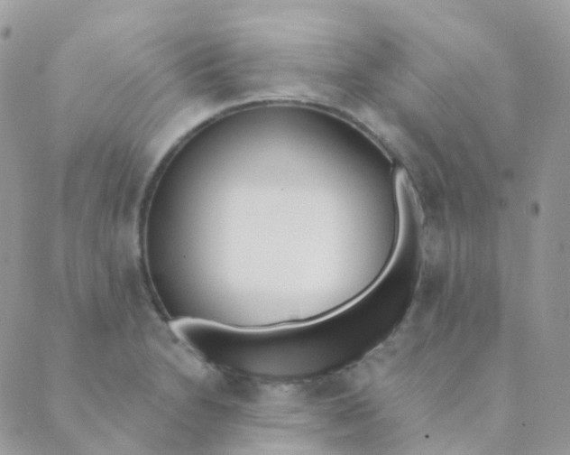 X0000089421230200707061311