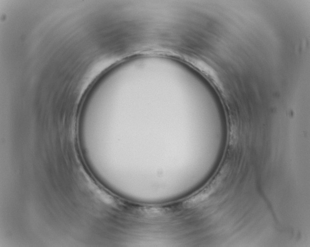 X0000089421231200707061311