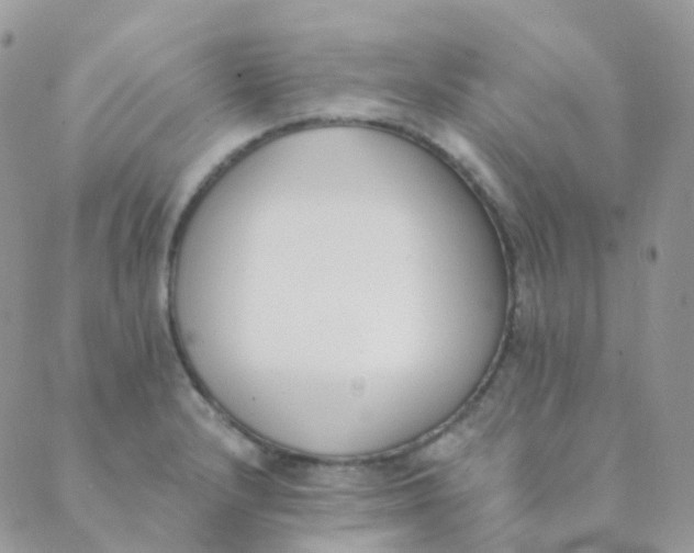 X0000089421232200707061311