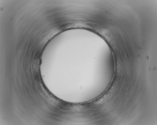 X0000089421233200707061311