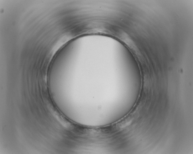 X0000089421234200707061311