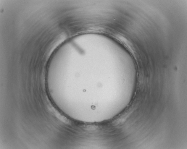 X0000089421235200707061311