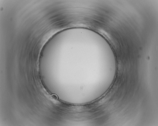 X0000089421236200707061311