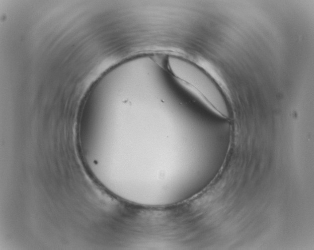 X0000089421237200707061311