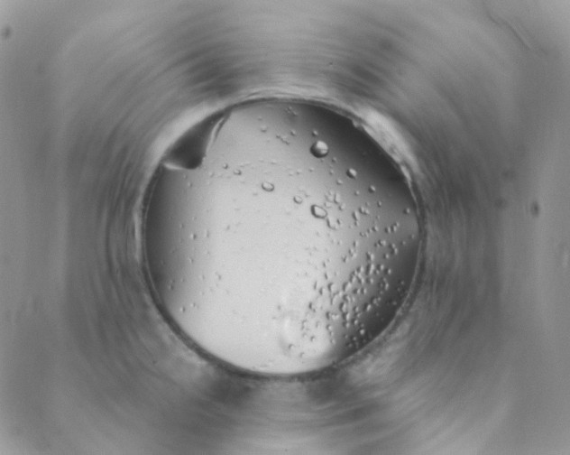 X0000089421238200707061311