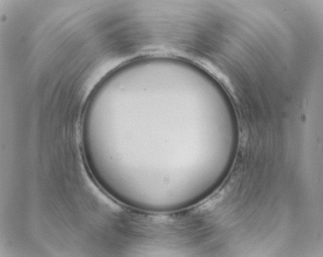 X0000089421239200707061311