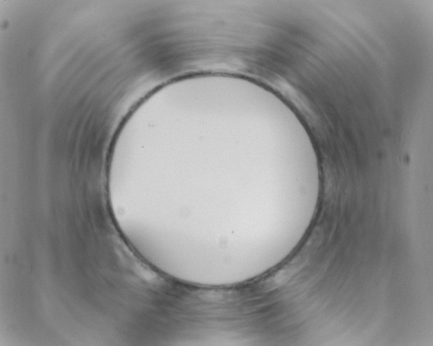 X0000089421240200707061311